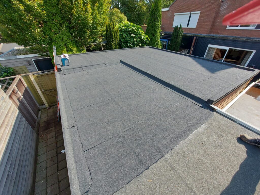 473100055 1074661967798674 395911927786895089 n